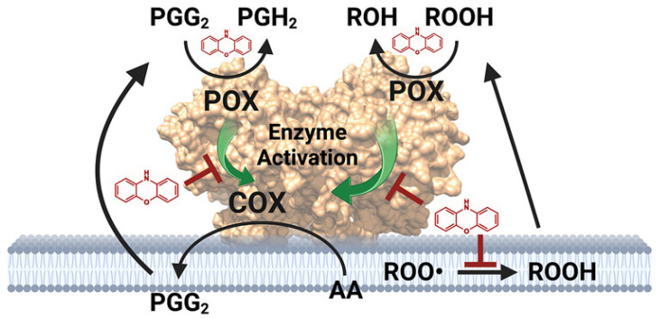 PMC11944624 – pharmaceuticals-18-00334-f003