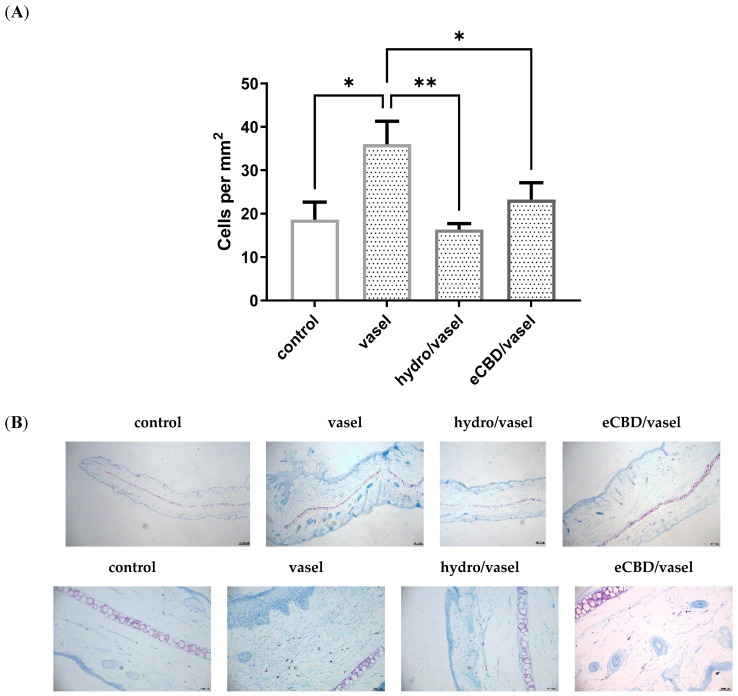 PMC11944635 – pharmaceuticals-18-00370-f006