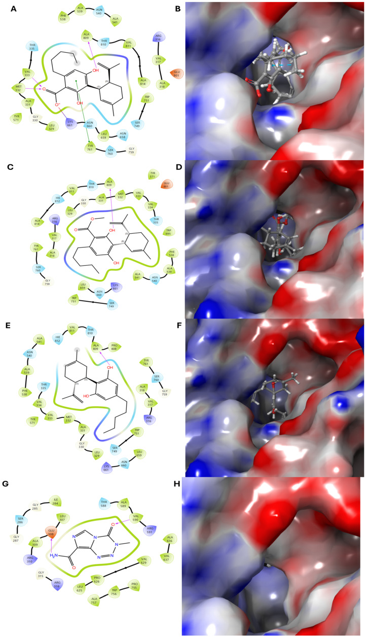 PMC12030031 – pharmaceuticals-18-00521-f007