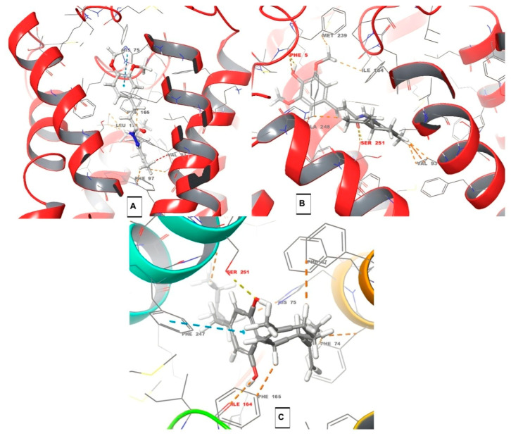 PMC12114903 – pharmaceuticals-18-00755-f006