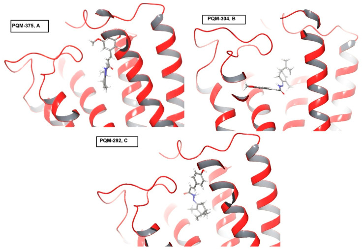PMC12114903 – pharmaceuticals-18-00755-f007