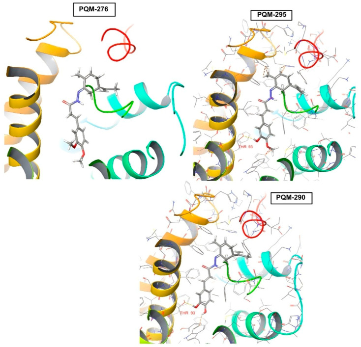 PMC12114903 – pharmaceuticals-18-00755-f008