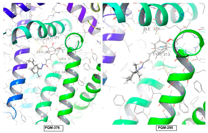 PMC12114903 – pharmaceuticals-18-00755-f009