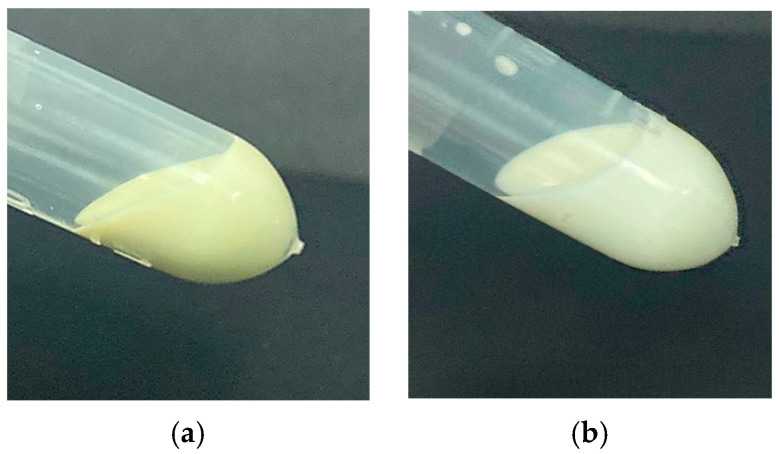PMC12196116 – pharmaceuticals-18-00782-f001