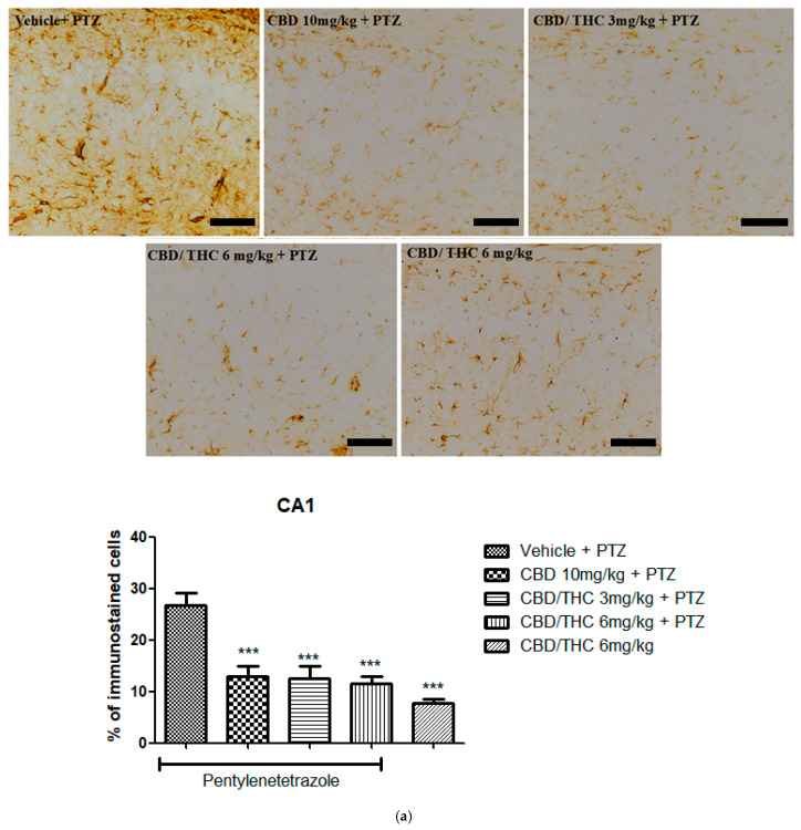 PMC12196116 – pharmaceuticals-18-00782-f010