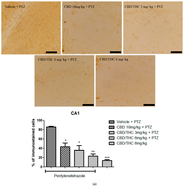 PMC12196116 – pharmaceuticals-18-00782-f011