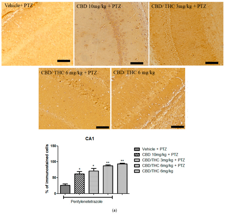 PMC12196116 – pharmaceuticals-18-00782-f012