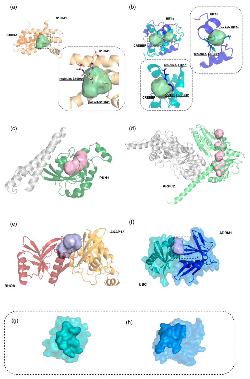 PMC12298929 – pharmaceuticals-18-00958-f003