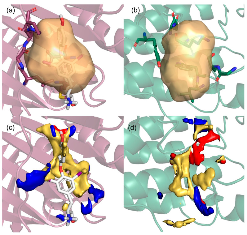 PMC12298929 – pharmaceuticals-18-00958-f006