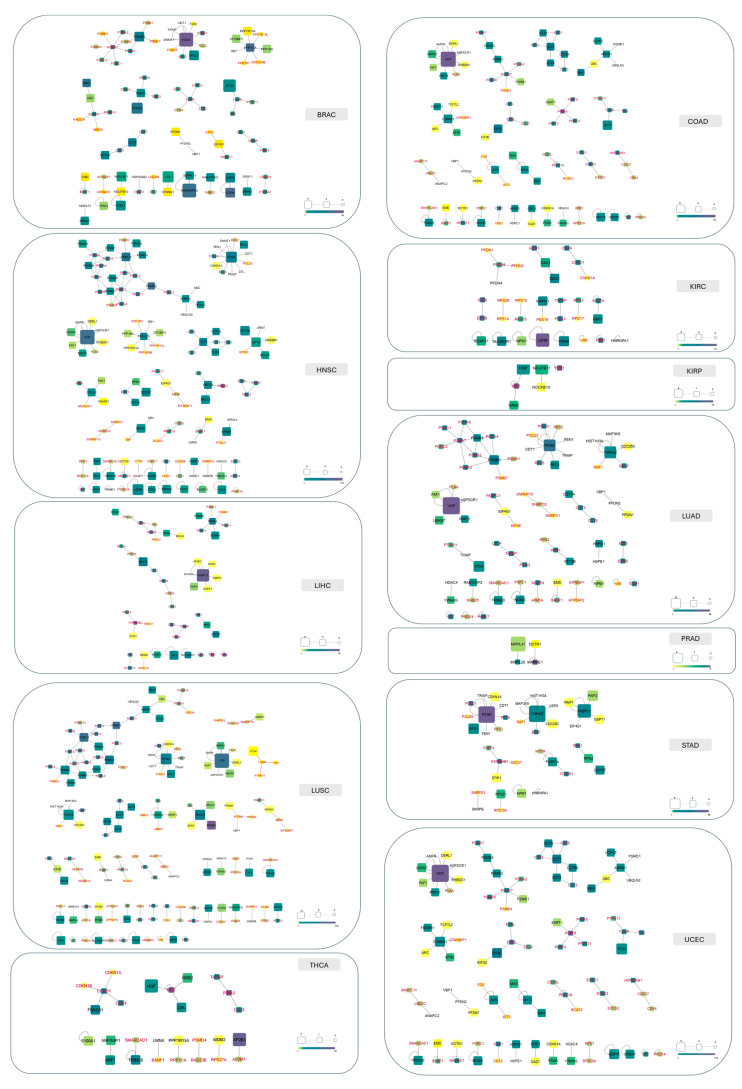 PMC12298929 – pharmaceuticals-18-00958-f008