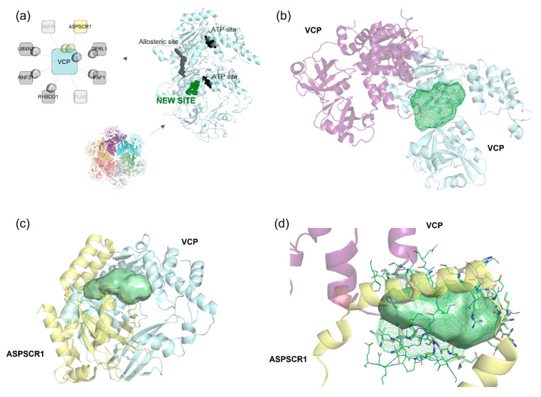 PMC12298929 – pharmaceuticals-18-00958-f009