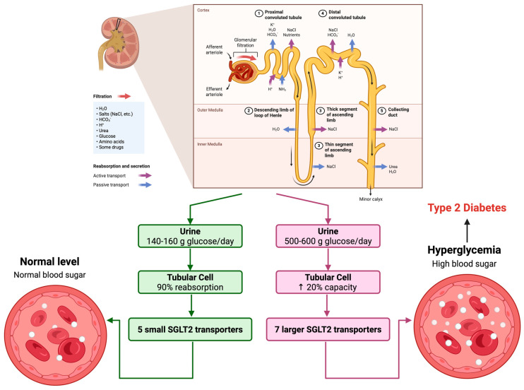 PMC12389431 – pharmaceuticals-18-01101-f001