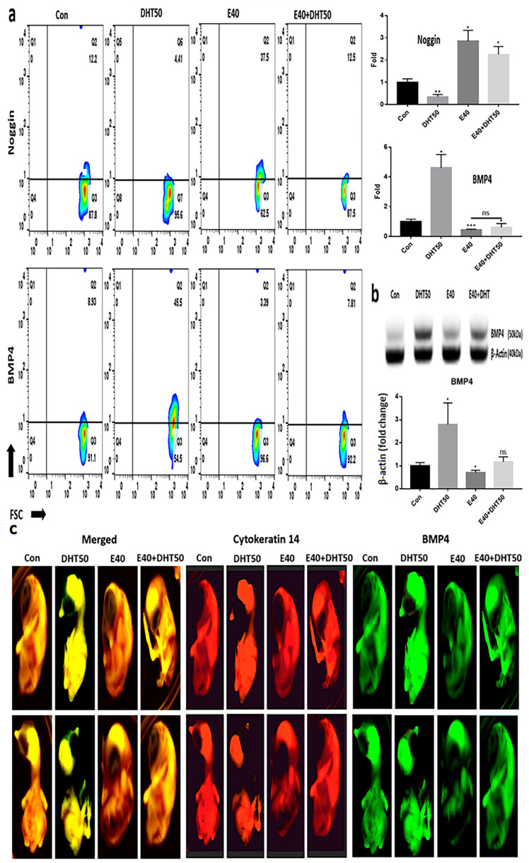 PMC12389284 – pharmaceuticals-18-01192-f006