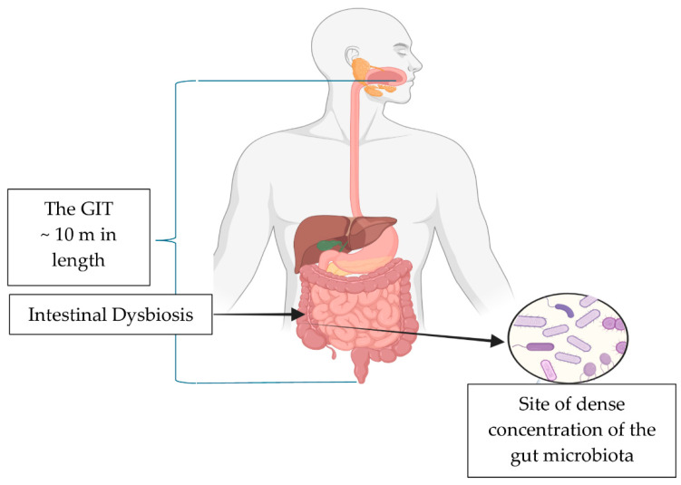PMC12472836 – pharmaceuticals-18-01385-f001