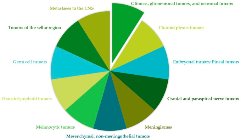 PMC12655808 – pharmaceuticals-18-01626-f001