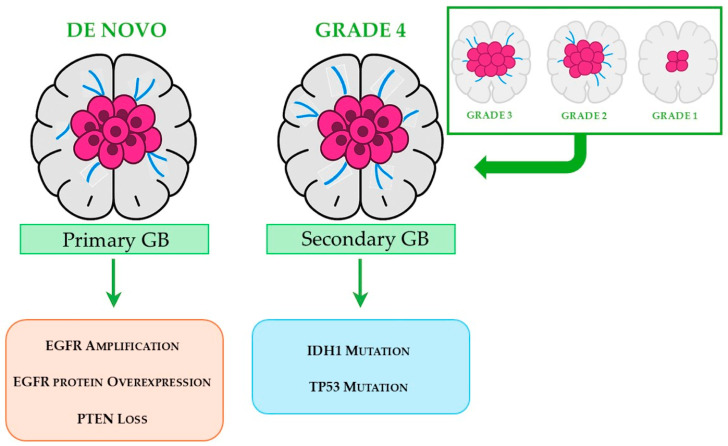 PMC12655808 – pharmaceuticals-18-01626-f002