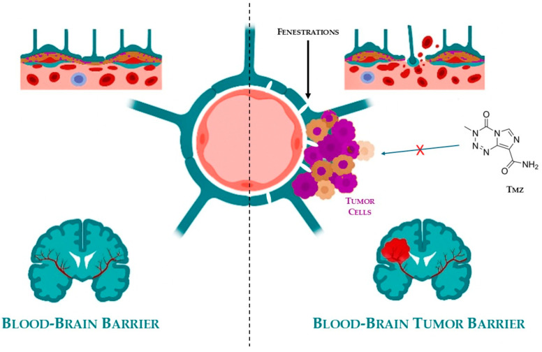 PMC12655808 – pharmaceuticals-18-01626-f003