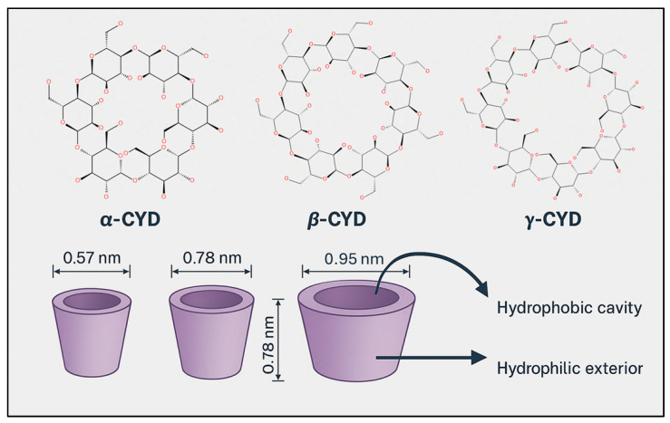 PMC12655808 – pharmaceuticals-18-01626-f007
