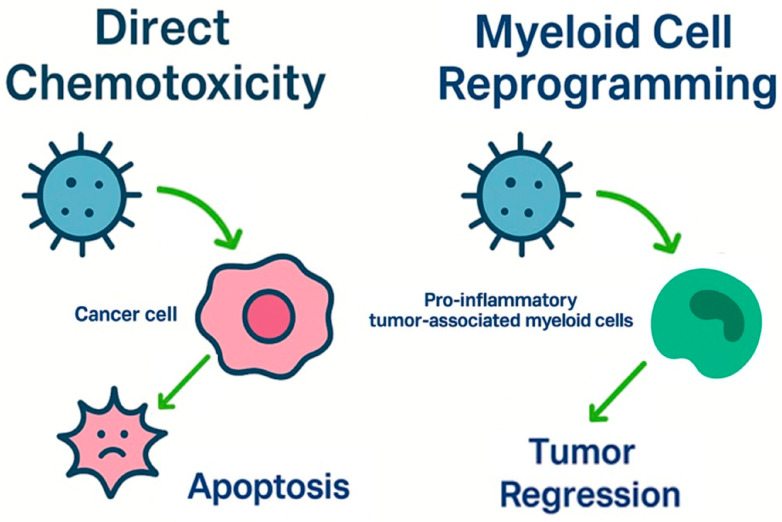 PMC12655808 – pharmaceuticals-18-01626-f012