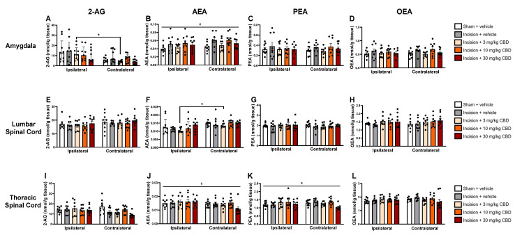 PMC12844942 – pharmaceuticals-19-00043-f003