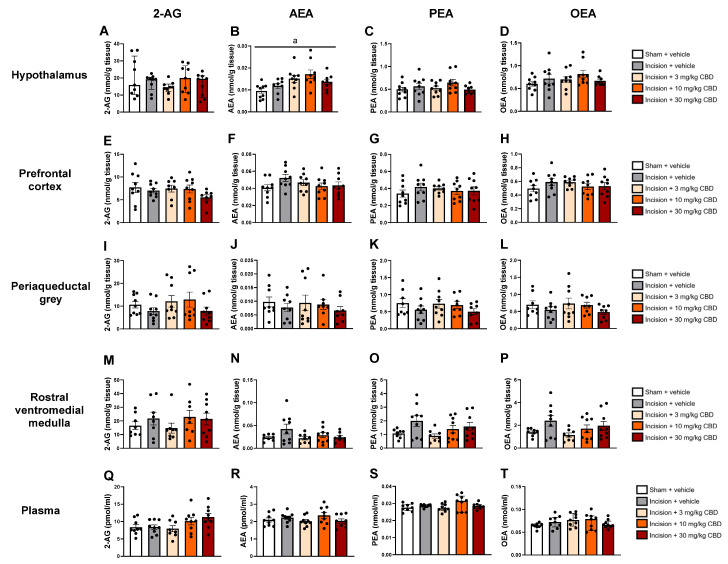 PMC12844942 – pharmaceuticals-19-00043-f004