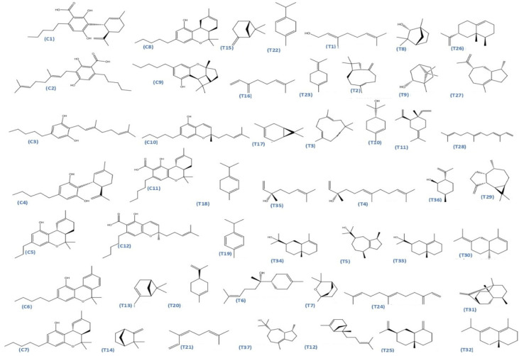 PMC12944511 – pharmaceuticals-19-00315-f025