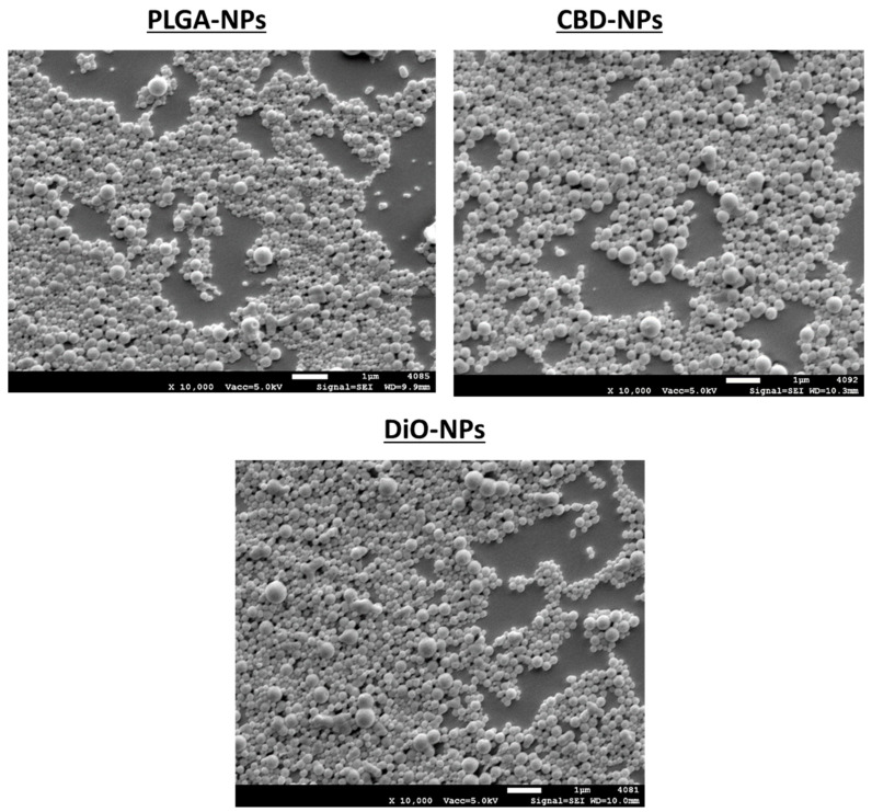 PMC7285054 – pharmaceutics-12-00439-f001