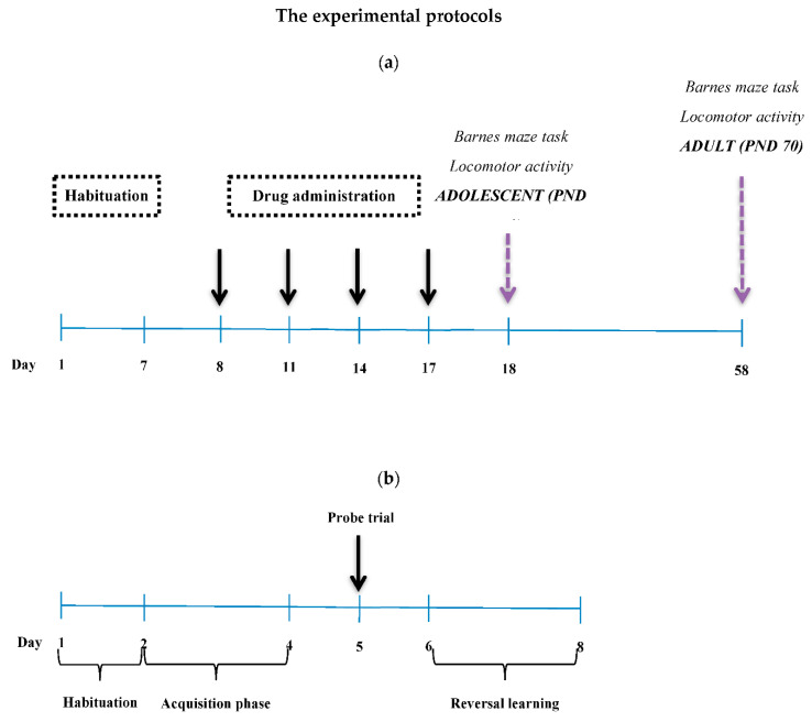 PMC7407502 – pharmaceutics-12-00654-f001