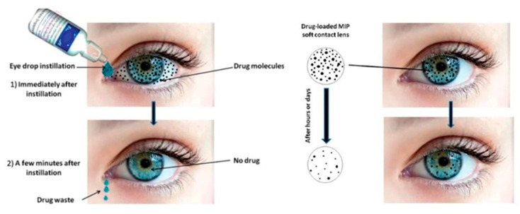 PMC7765989 – pharmaceutics-12-01232-f002