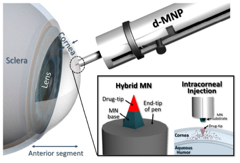 PMC7765989 – pharmaceutics-12-01232-f005