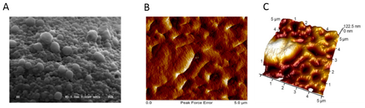 PMC7765989 – pharmaceutics-12-01232-f009