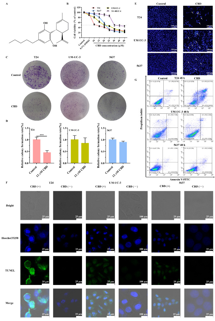 PMC8471856 – pharmaceutics-13-01415-f001
