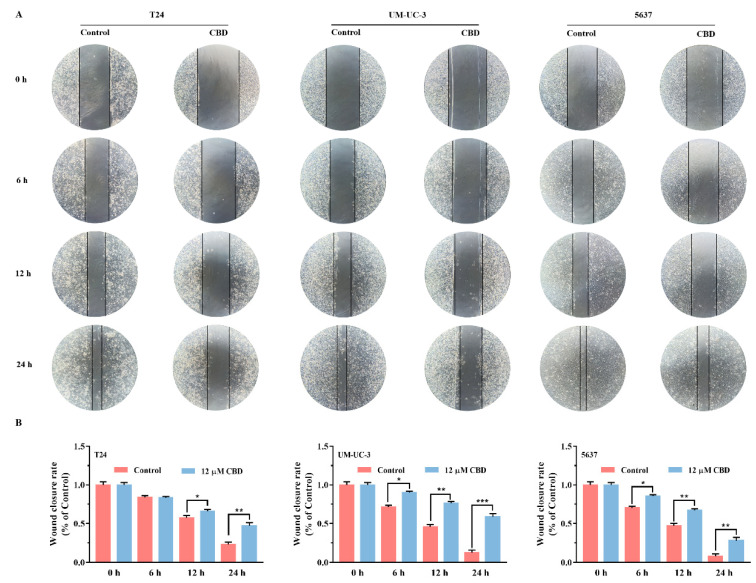 PMC8471856 – pharmaceutics-13-01415-f002