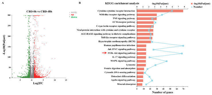 PMC8471856 – pharmaceutics-13-01415-f003