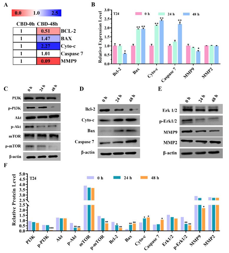 PMC8471856 – pharmaceutics-13-01415-f004
