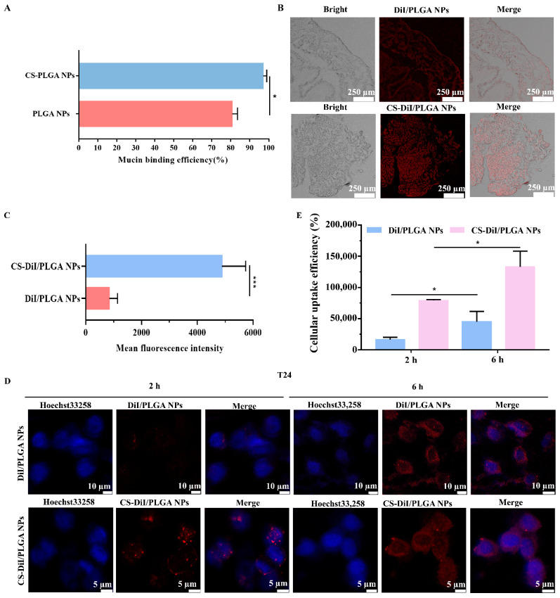 PMC8471856 – pharmaceutics-13-01415-f006