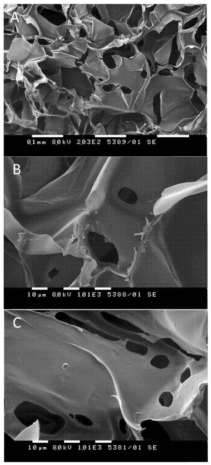 PMC8618209 – pharmaceutics-13-01774-f005