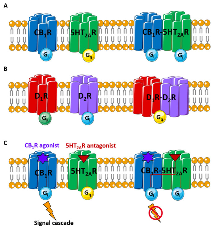 PMC8779866 – pharmaceutics-14-00161-f001