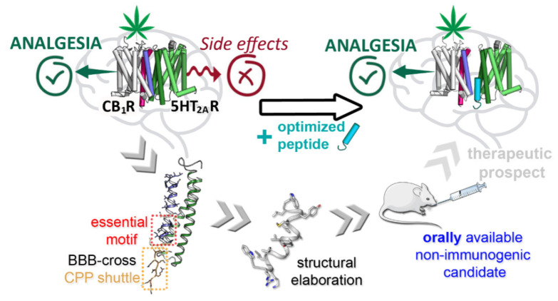PMC8779866 – pharmaceutics-14-00161-f003