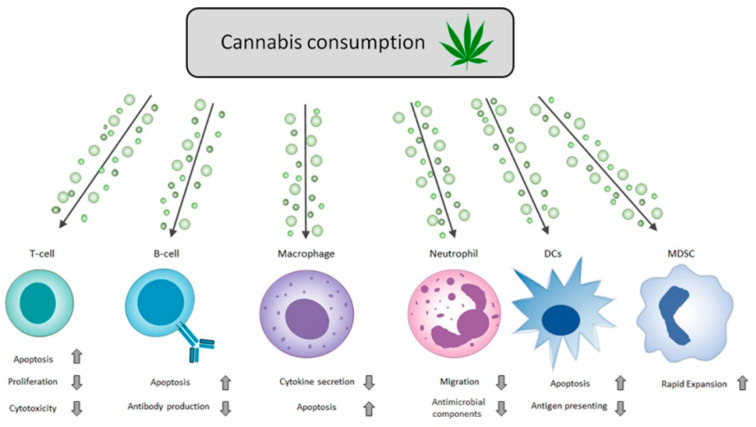 PMC8877666 – pharmaceutics-14-00389-f002