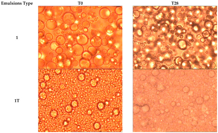 PMC8954602 – pharmaceutics-14-00513-f001