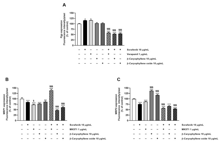 PMC9231089 – pharmaceutics-14-01264-f008