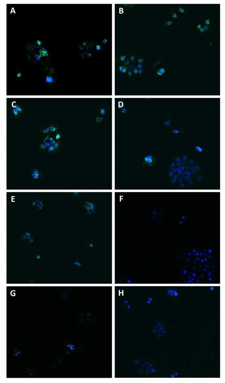 PMC9231089 – pharmaceutics-14-01264-f009