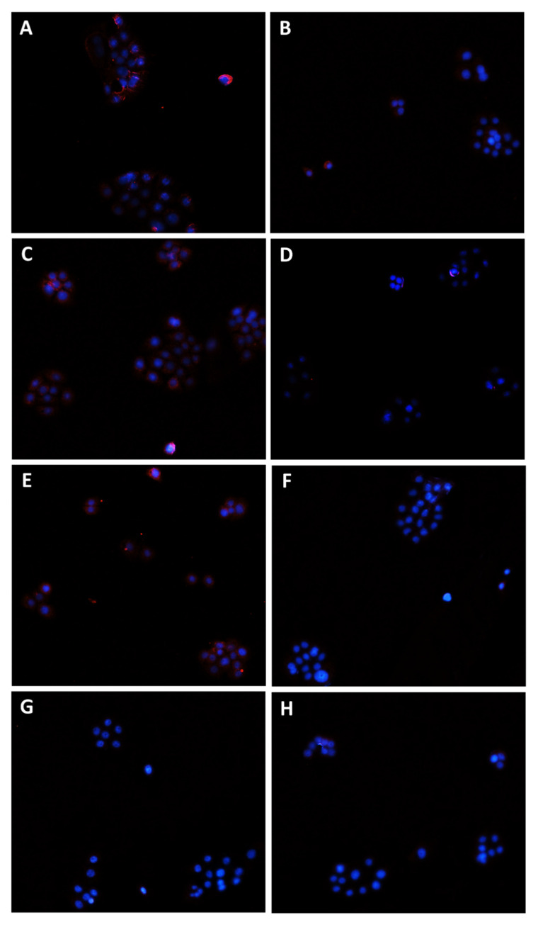 PMC9231089 – pharmaceutics-14-01264-f011