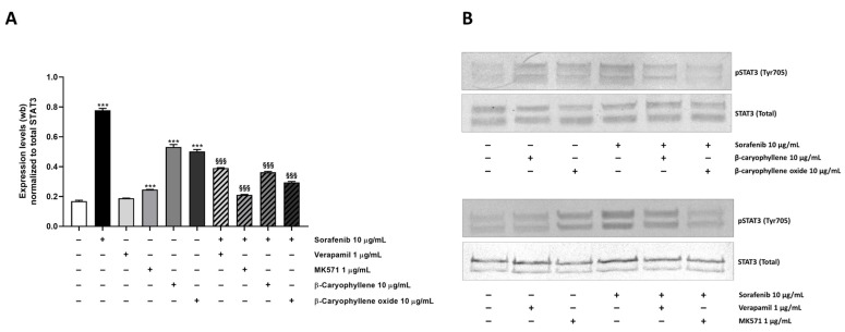 PMC9231089 – pharmaceutics-14-01264-f012