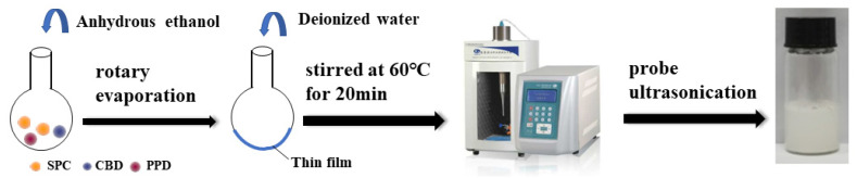 PMC9332327 – pharmaceutics-14-01533-f002