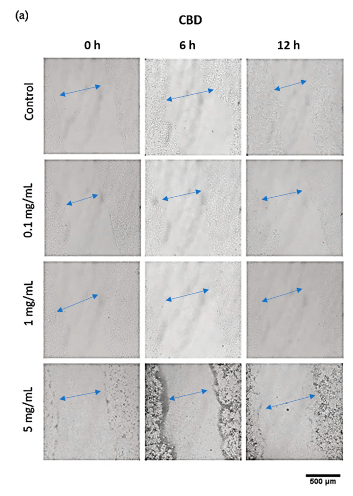 PMC9416381 – pharmaceutics-14-01637-f012