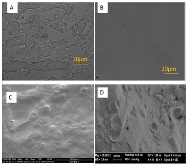PMC9967029 – pharmaceutics-15-00397-f001