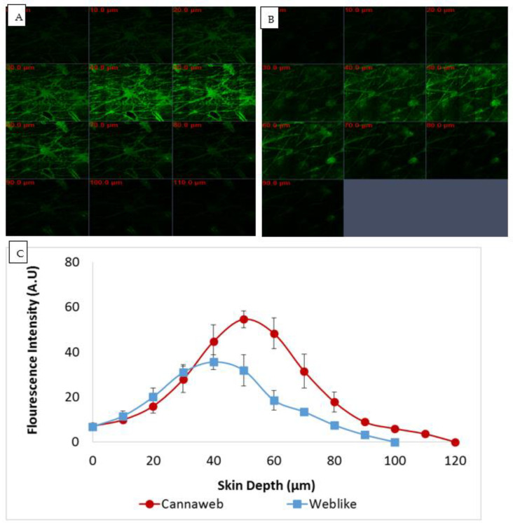 PMC9967029 – pharmaceutics-15-00397-f005