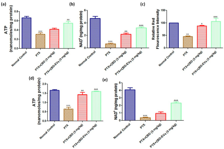 PMC9964872 – pharmaceutics-15-00554-f007